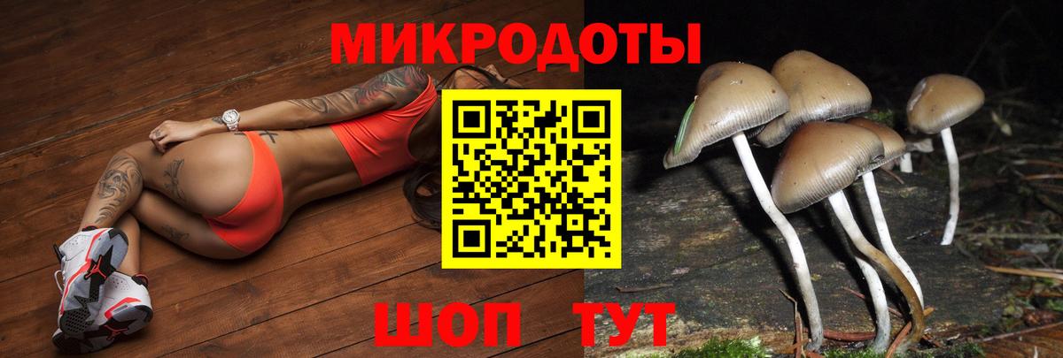 Тавда  Галлюциногенные грибы MAGIC MUSHROOMS  Вход с VPN 